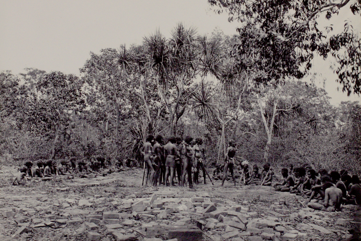 A group of Aboriginal men prepare for dance, surrounded by a seated audience of Aboriginal men, women and children. In the background is a stand of pandanus and in the foreground are piles of bricks from the old Port Essington settlement.