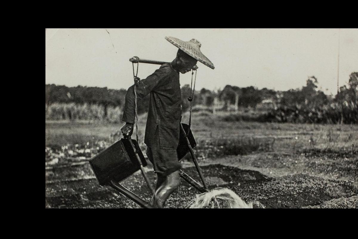 Black and white photo. Man wearing a straw hat waters crop using a carrying pole over his shoulders