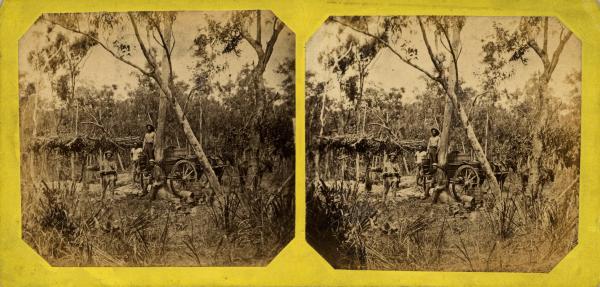Stereoscopic image of collecting water from the Government well, Doctor’s Gully, 1869