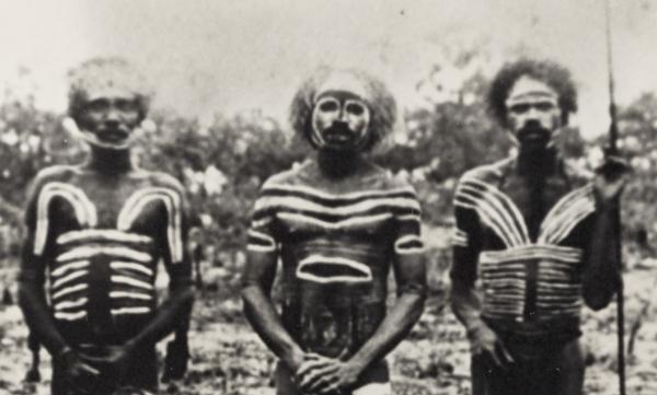 Depicts three Woolnah men painted for ceremony.